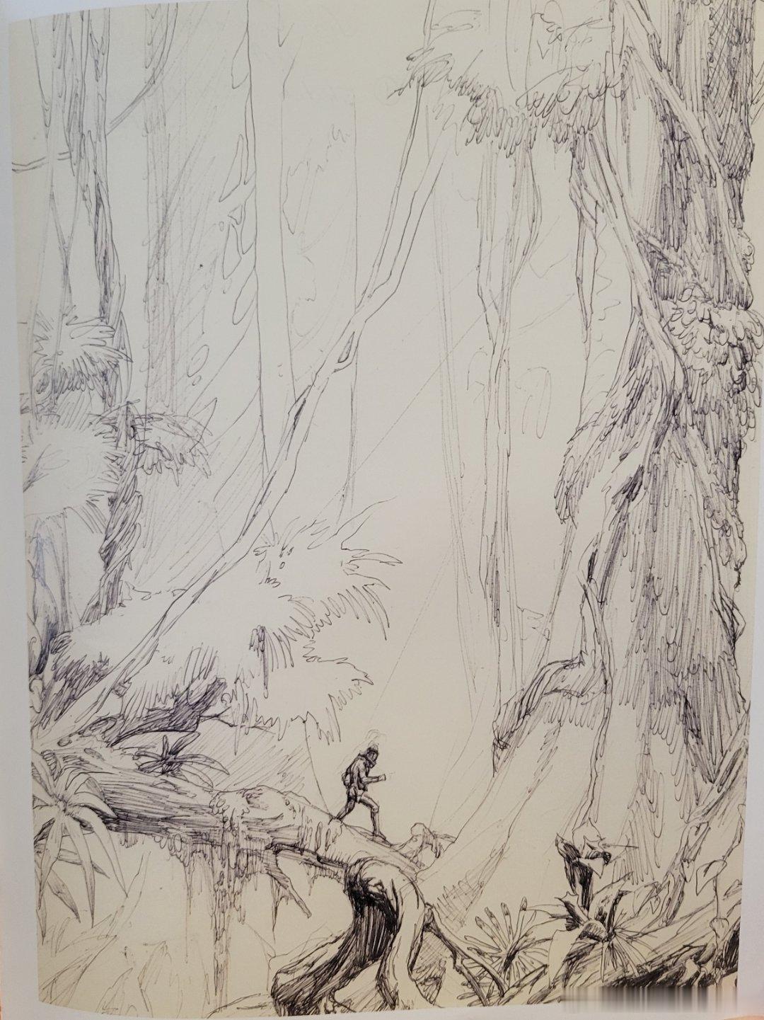 詹姆斯卡梅隆在1969年绘制的艺术作品《弗洛拉星球的春天》半个世纪后，这张作品成