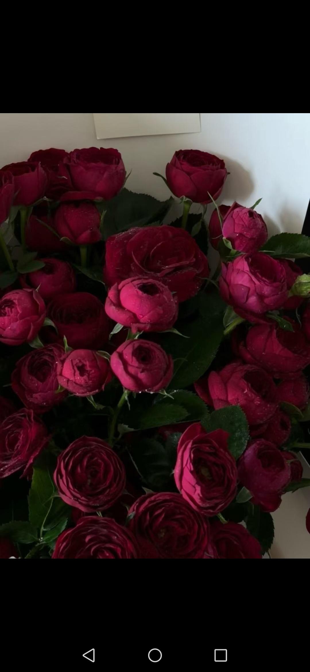 天南地北大拜年我正在参加天南地北大拜年活动，每日完成任务有机会瓜分80万现金红包