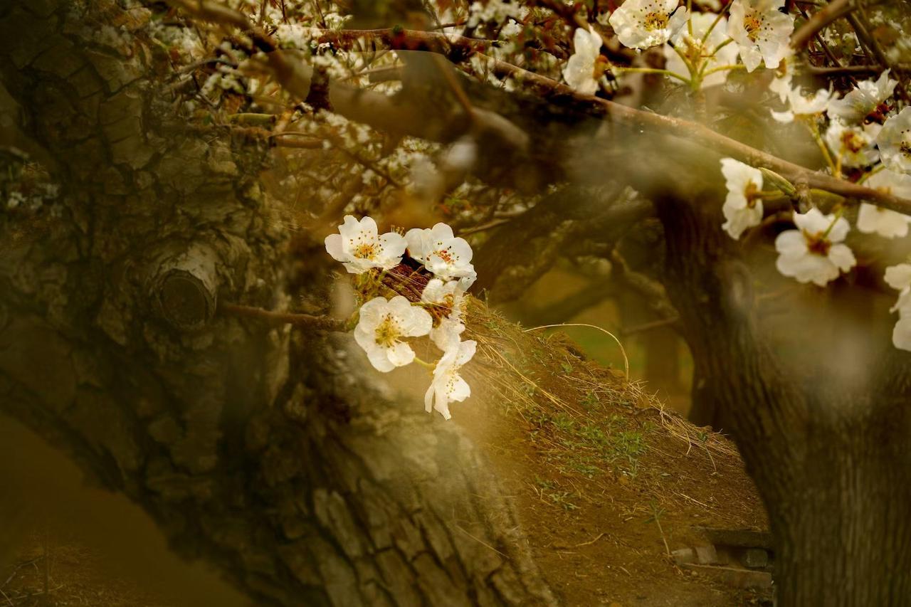 我活了快七十年，见多了婚姻里的酸甜苦辣，今天就想唠唠一种特别常见的男人，说句实在