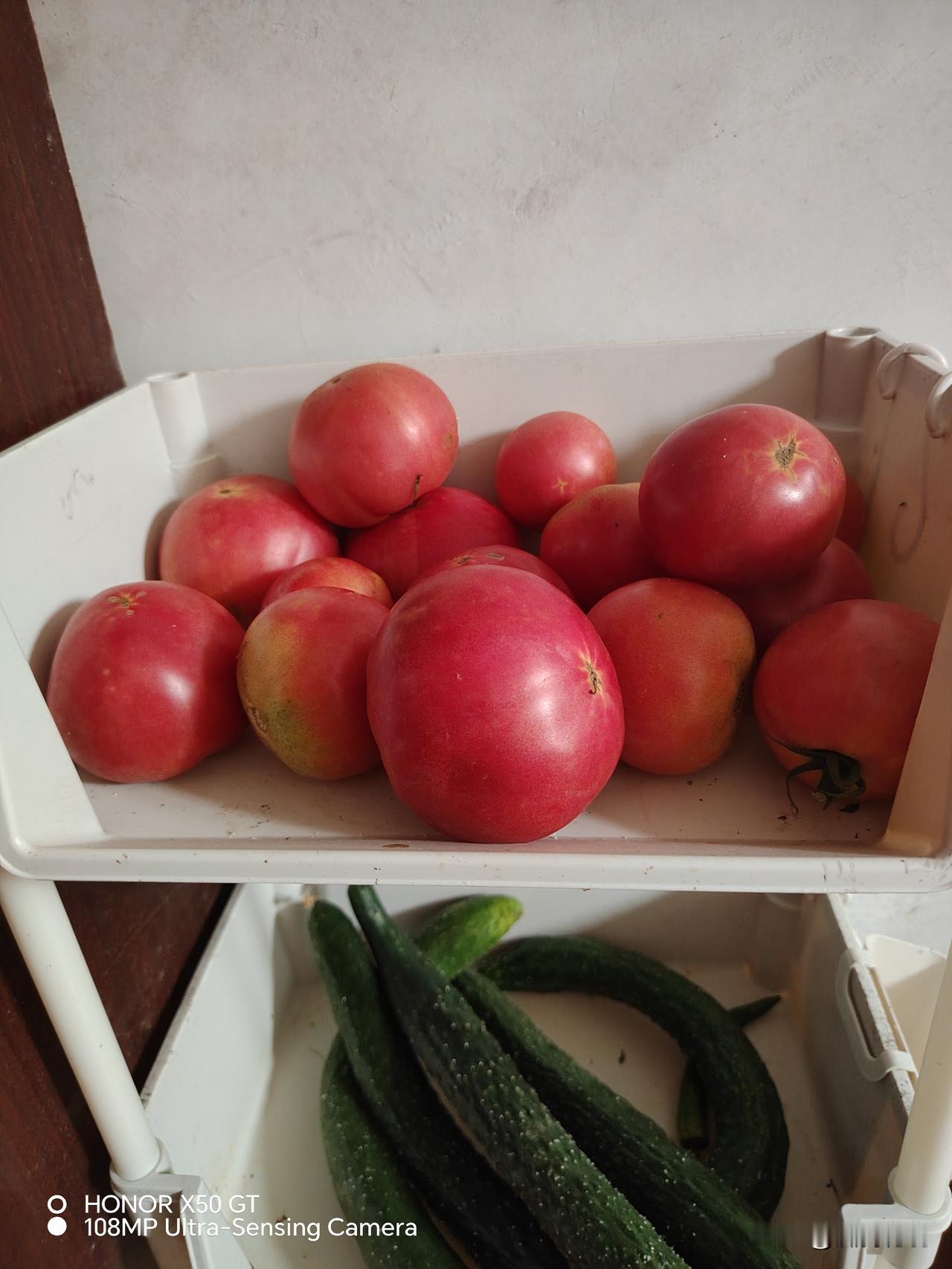 用农家肥和饼肥（菜籽饼花生饼）种出来的蔬菜，品质，口感，色泽和市场上的完全不一样