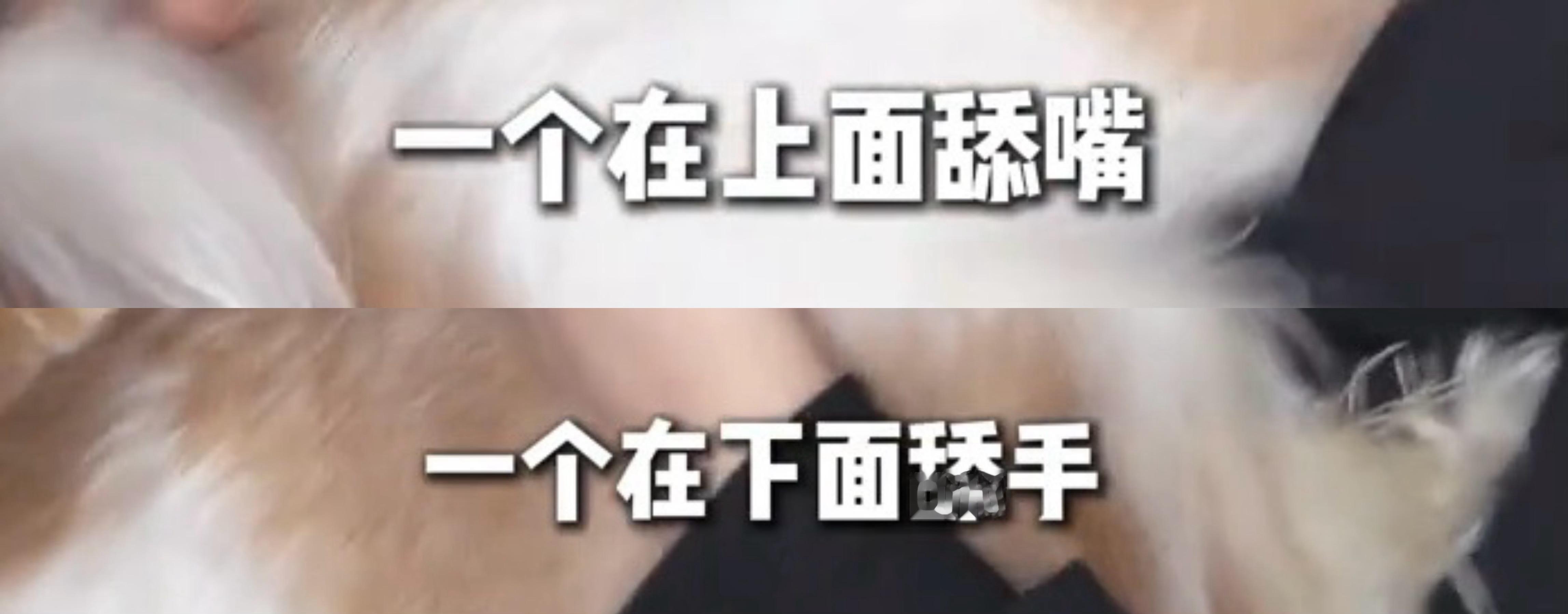 檀小呆檀力球…这样的好日子我从未有过！！！ 