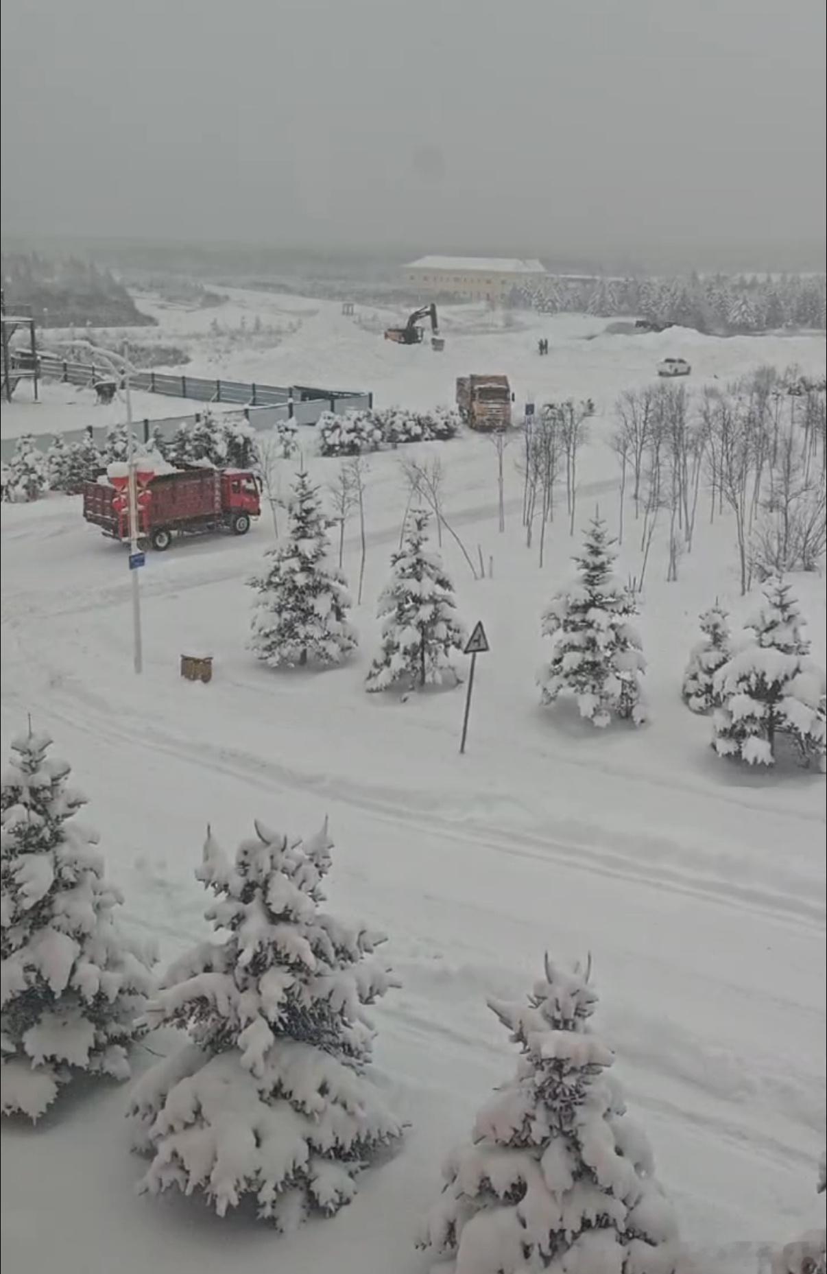 北方更冷还是南方更冷 今天早上家族群发了一段东北下雪的视频，我问我嫂子的特斯拉咋