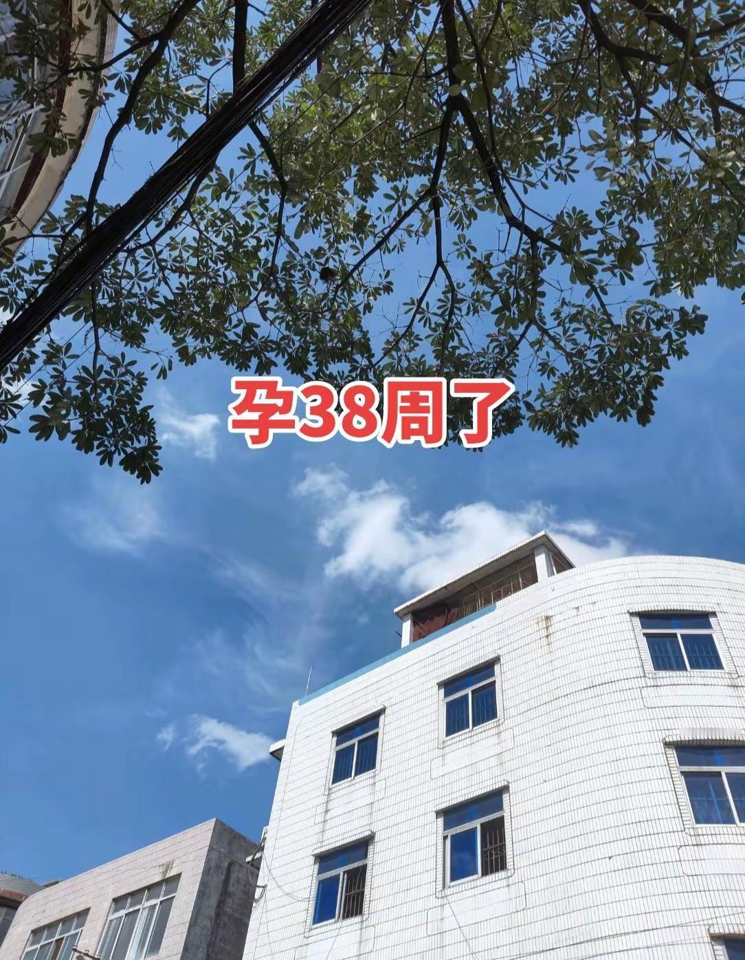 孕38周，我删掉了那个期待当爸爸的人 距离预产期仅剩半个月，笨重的肚子让我走路总