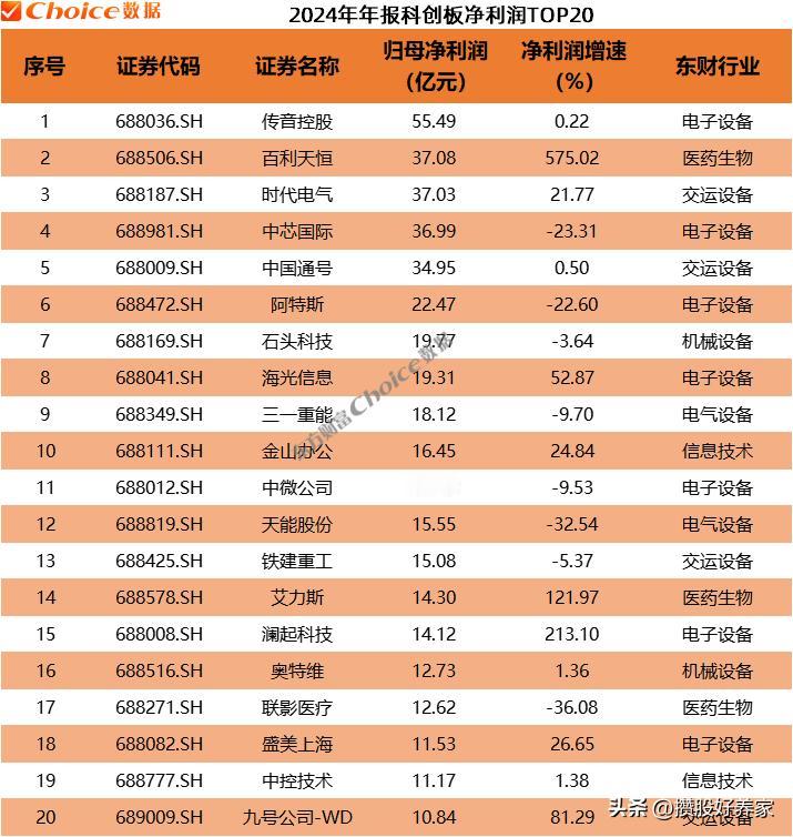2024年报科创板净利润TOP20