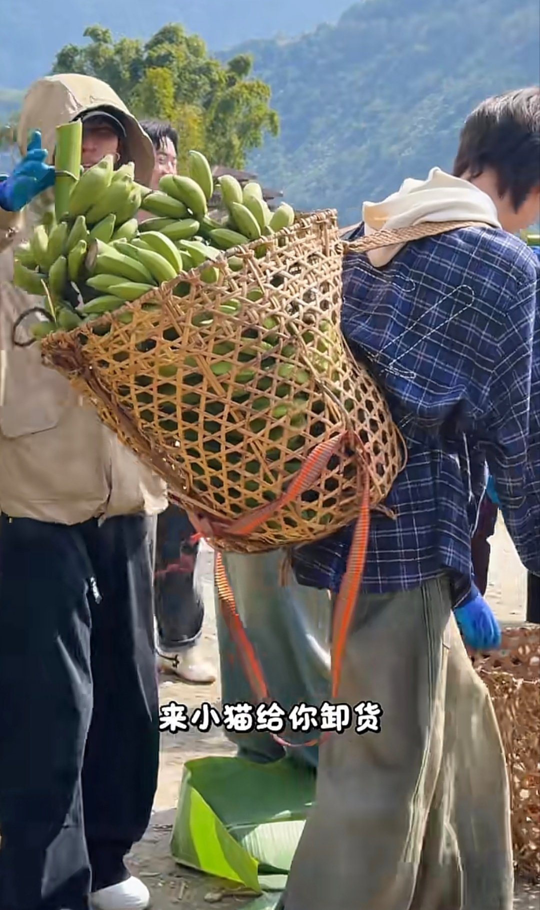 下次别背那么多了仔，别人都是一捆而已 