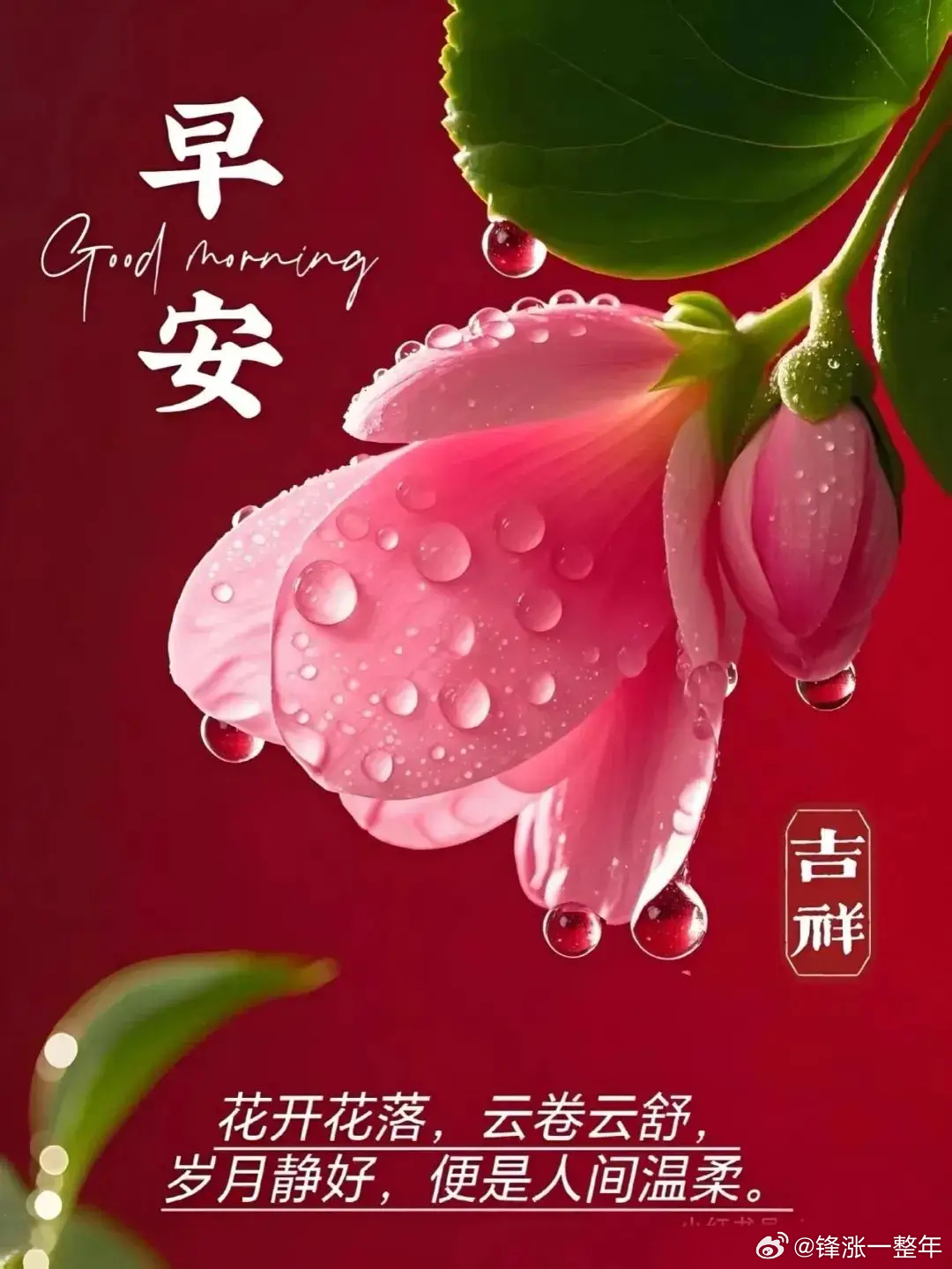早上好[抱一抱][抱一抱] ​​​