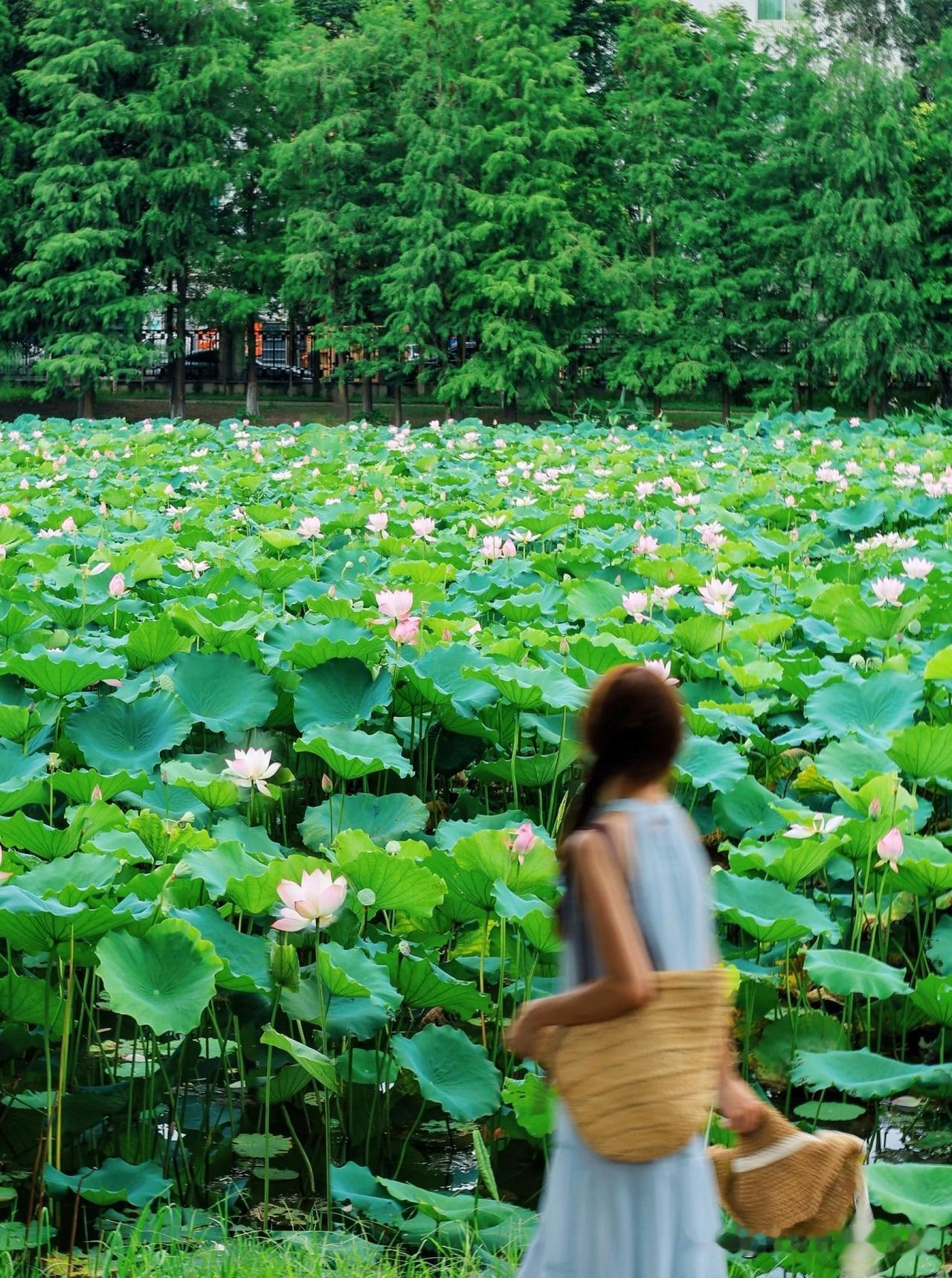 近日，广州某二本大学一位30岁的讲师很是纠结。

不知要不要与他研究生女友结婚的