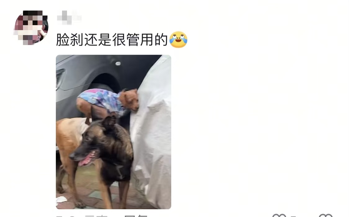 当你觉得压力大的时候  总有狗东西压你身上享福 