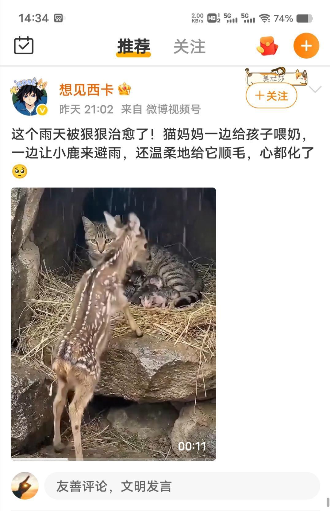 《岩下狸鹿》(寓言新编)

　　山岩之下，狸方乳子，雨骤风斜，鹿子奔来，惶惶叩岩