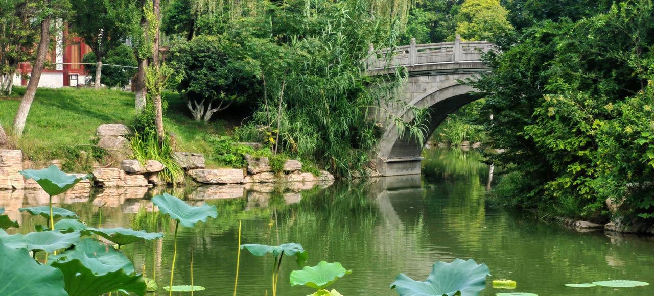 【在兴庆宫，告别夏天】夏末的兴庆宫公园，荷花已经过了最盛的时候。荷叶开始卷边泛黄
