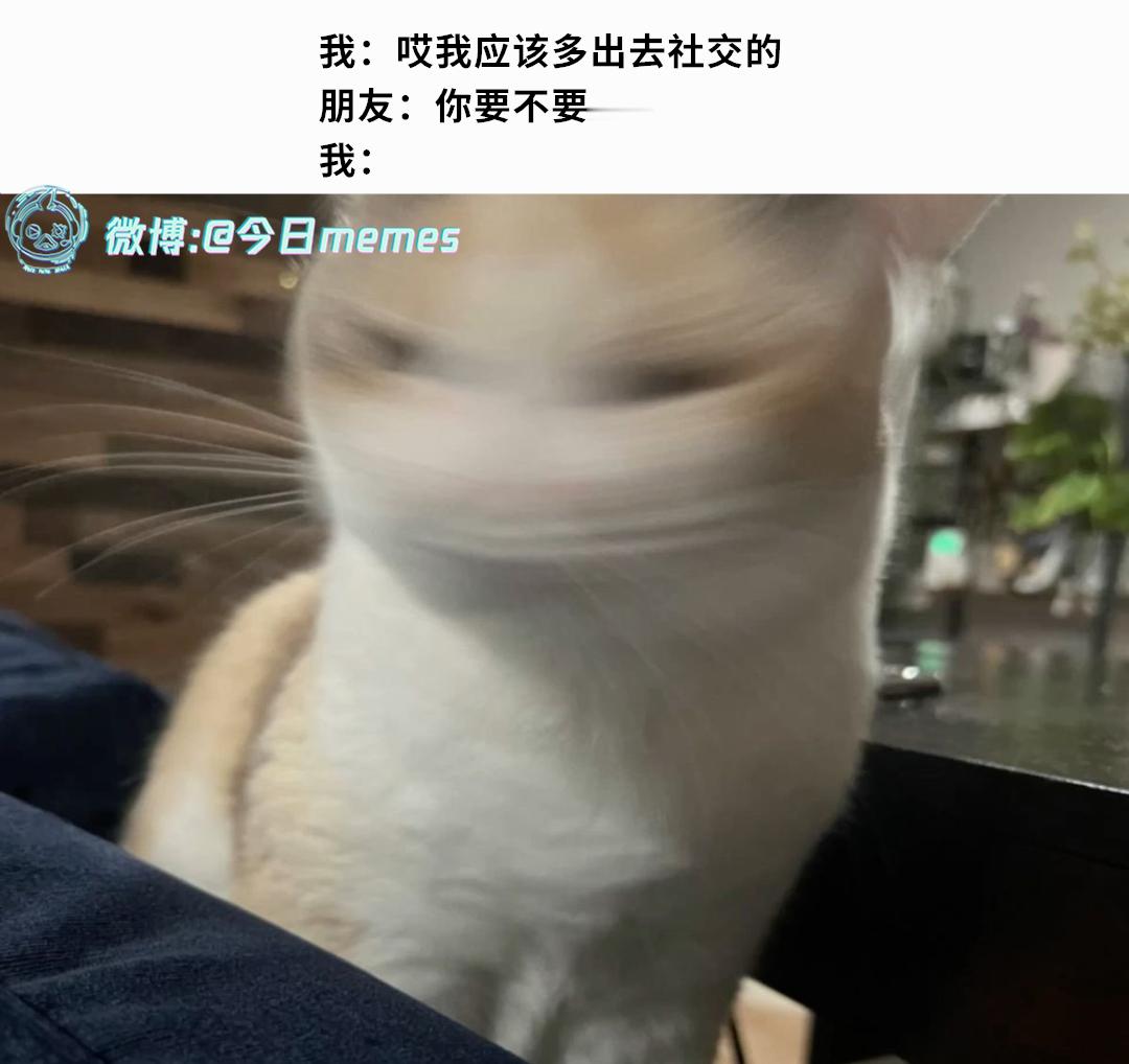 耳朵进水了今日meme[超话] 今日memes ​​​