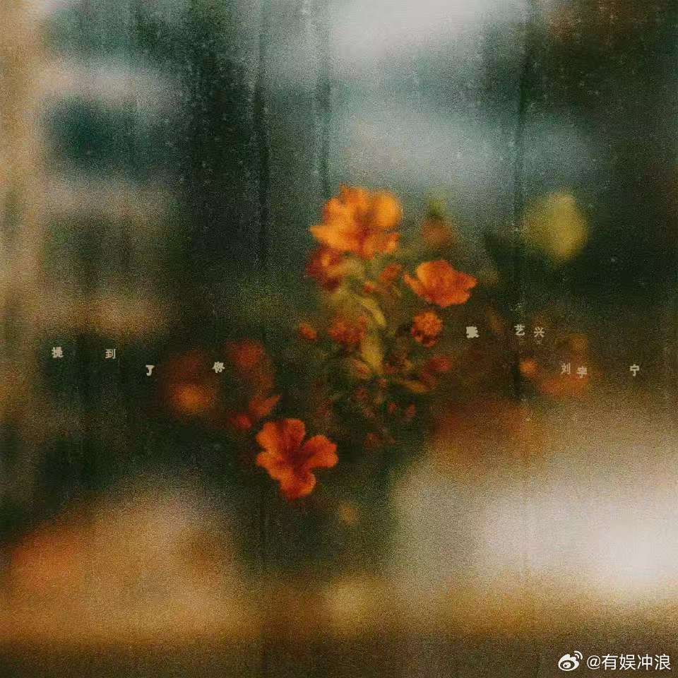 张艺兴刘宇宁合作曲张艺兴刘宇宁合作张艺兴刘宇宁合作曲，期待，❤️ ​​​