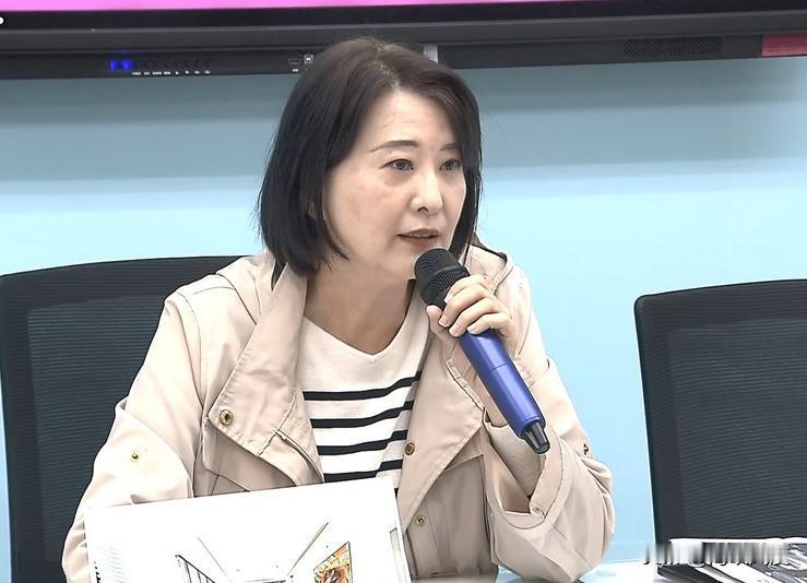 韩国瑜、江启臣争取民意机构正副职，明天（29日）上午预计拜会民众党党图寻求支持，