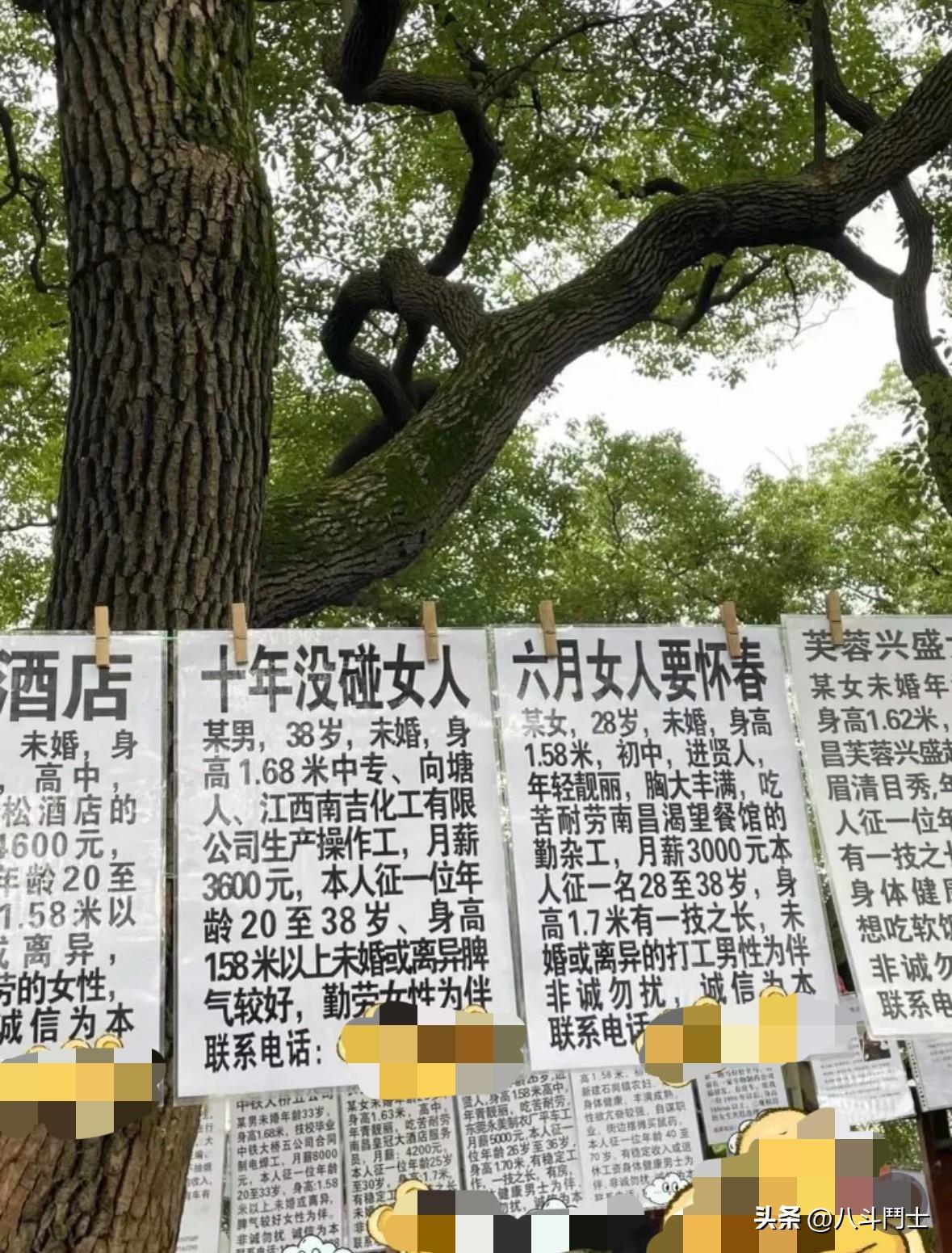 卖老鼠蟑螂药的女人、写 “十年没碰女人” 的大哥，没有精致滤镜，不绕弯弯，直白得
