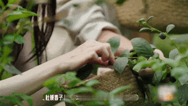 恋综男嘉宾约会前还要彩排雷童你就差把PPT做了，带春子扎染前先自测一遍流程，这男