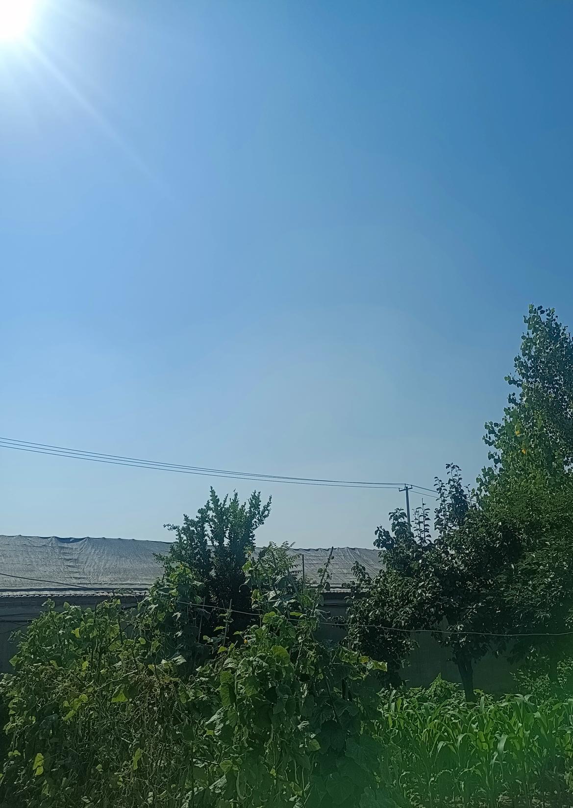 网络上有一段话说的很好：“人对性生活的渴望，从来不是低俗的放纵，而是刻在骨子里的