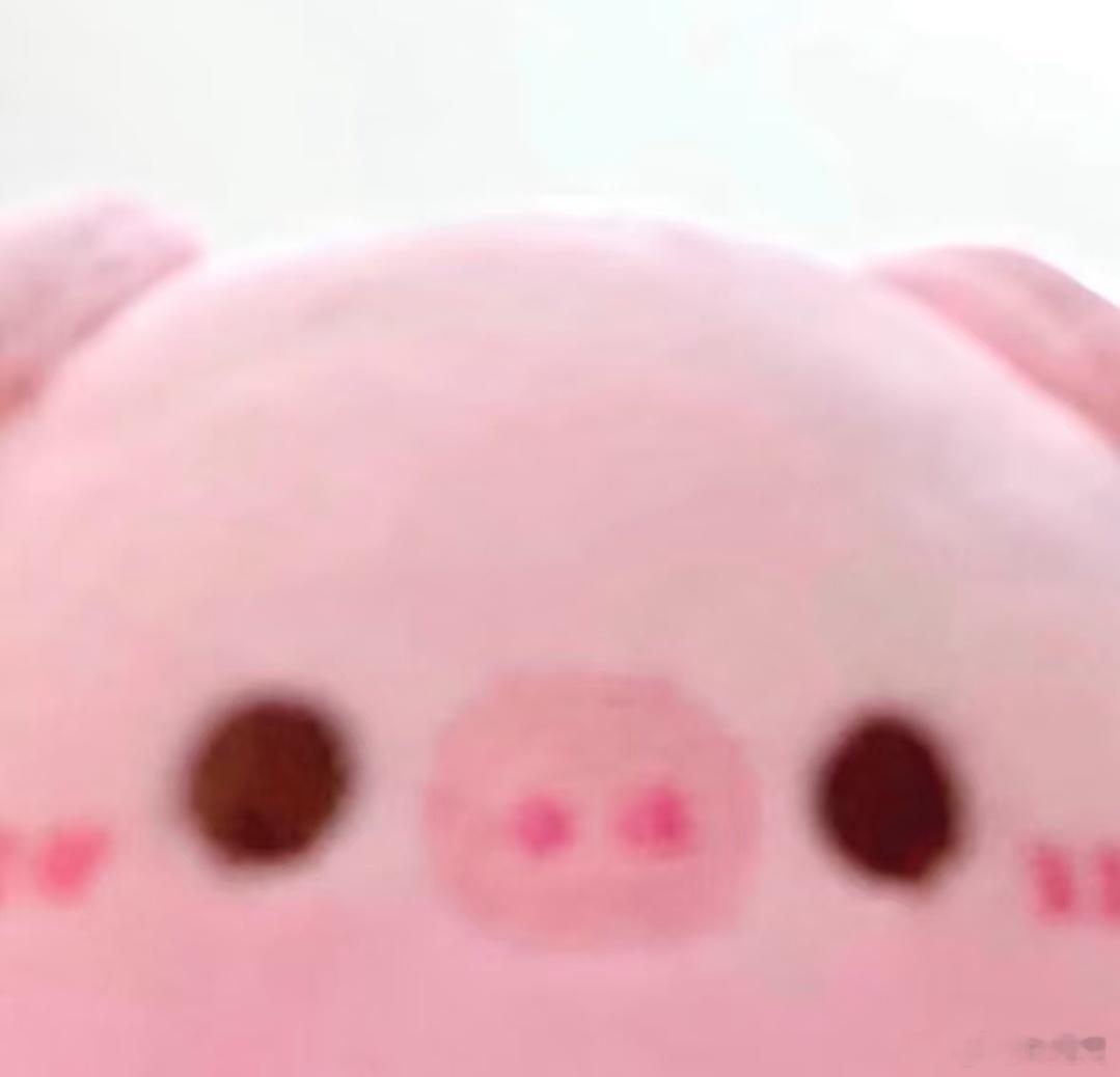 ●🐽︎● 