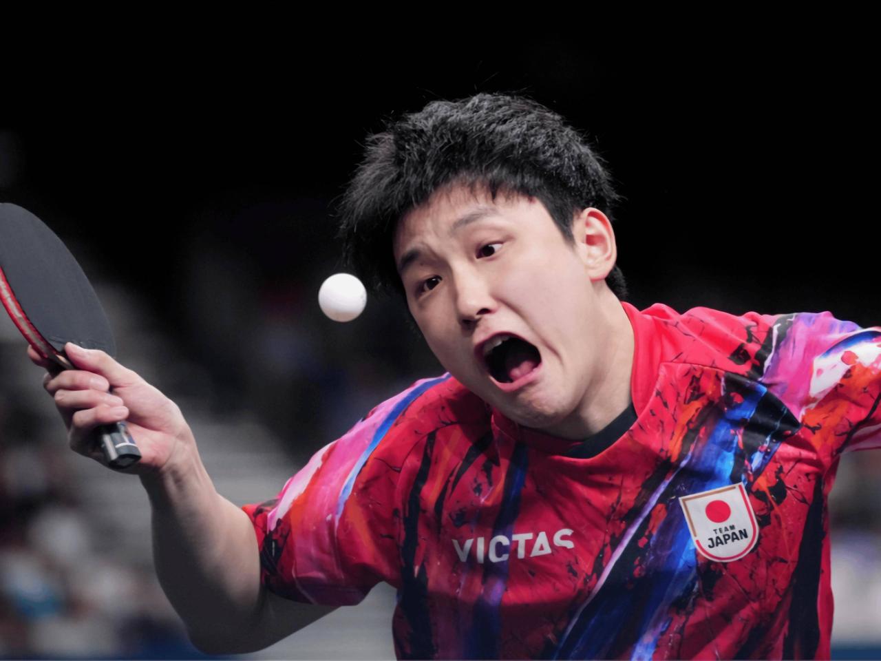 日本网民：他比日本人更像日本人。
在夺得了WTT男单冠军后，张本智和彻底变成了一