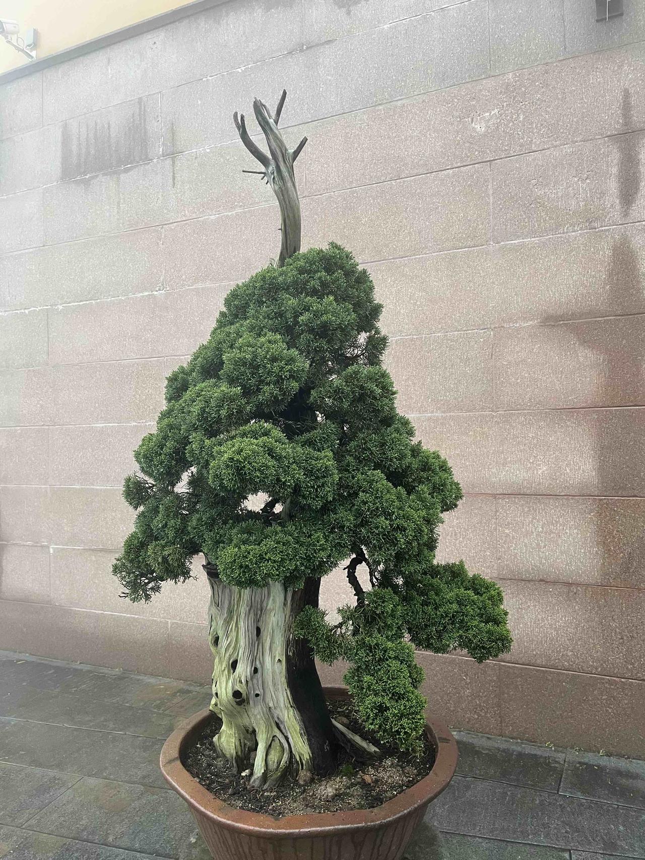 晒图笔记大赛你想到了什么？