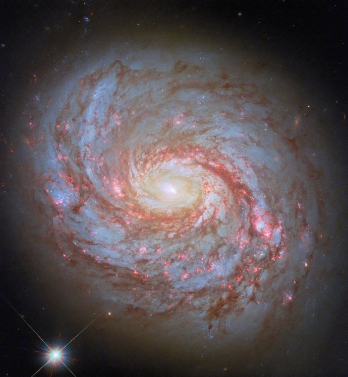 硬核研究所鱿鱼星系（梅西耶 77）是一个棒旋星系，距离我们约 4500 万光年。