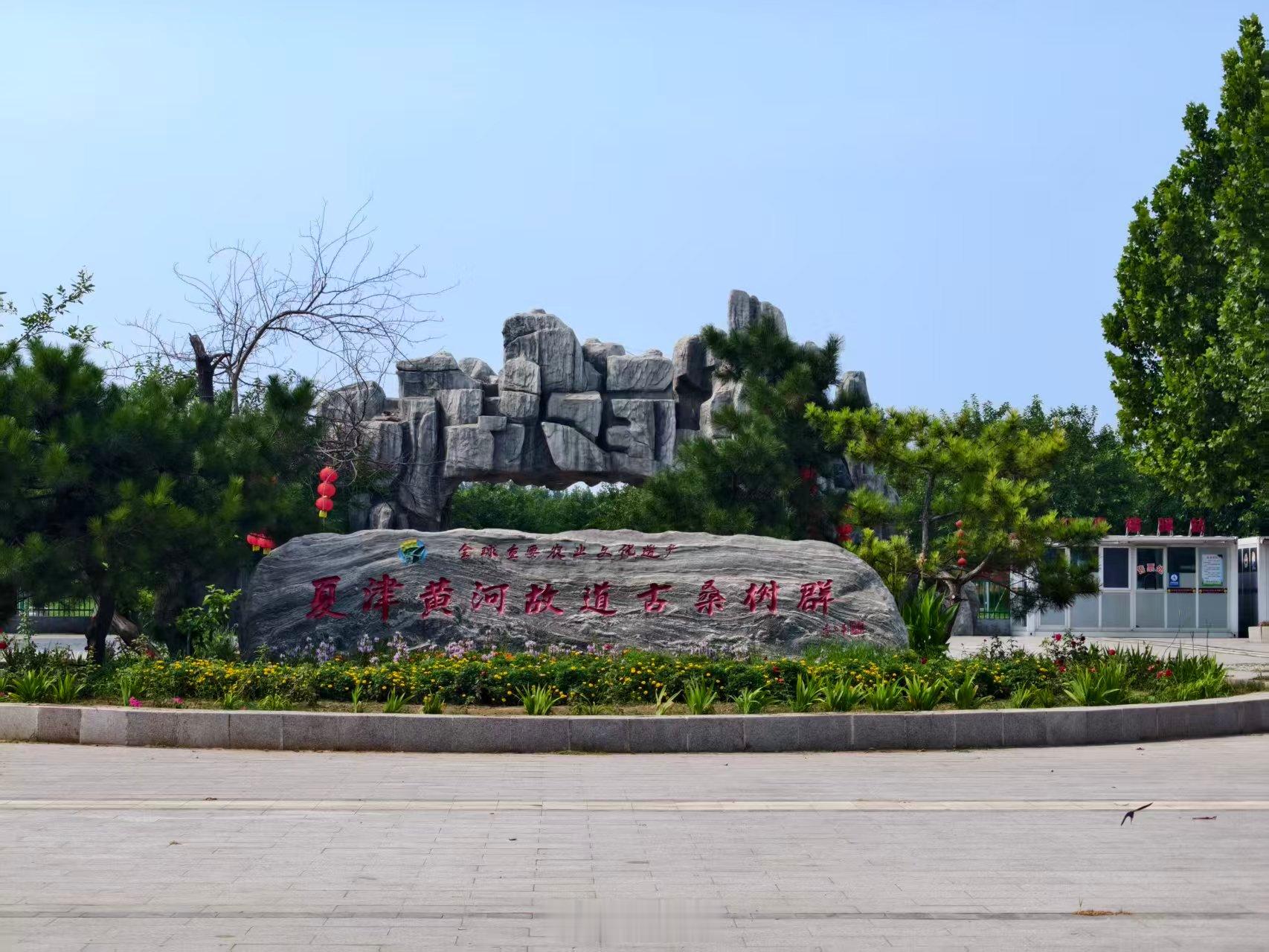 【桑根承黄河，古木续新章—】曲阜师范大学 沿着黄河看中国万名学子砺青春大学生三下