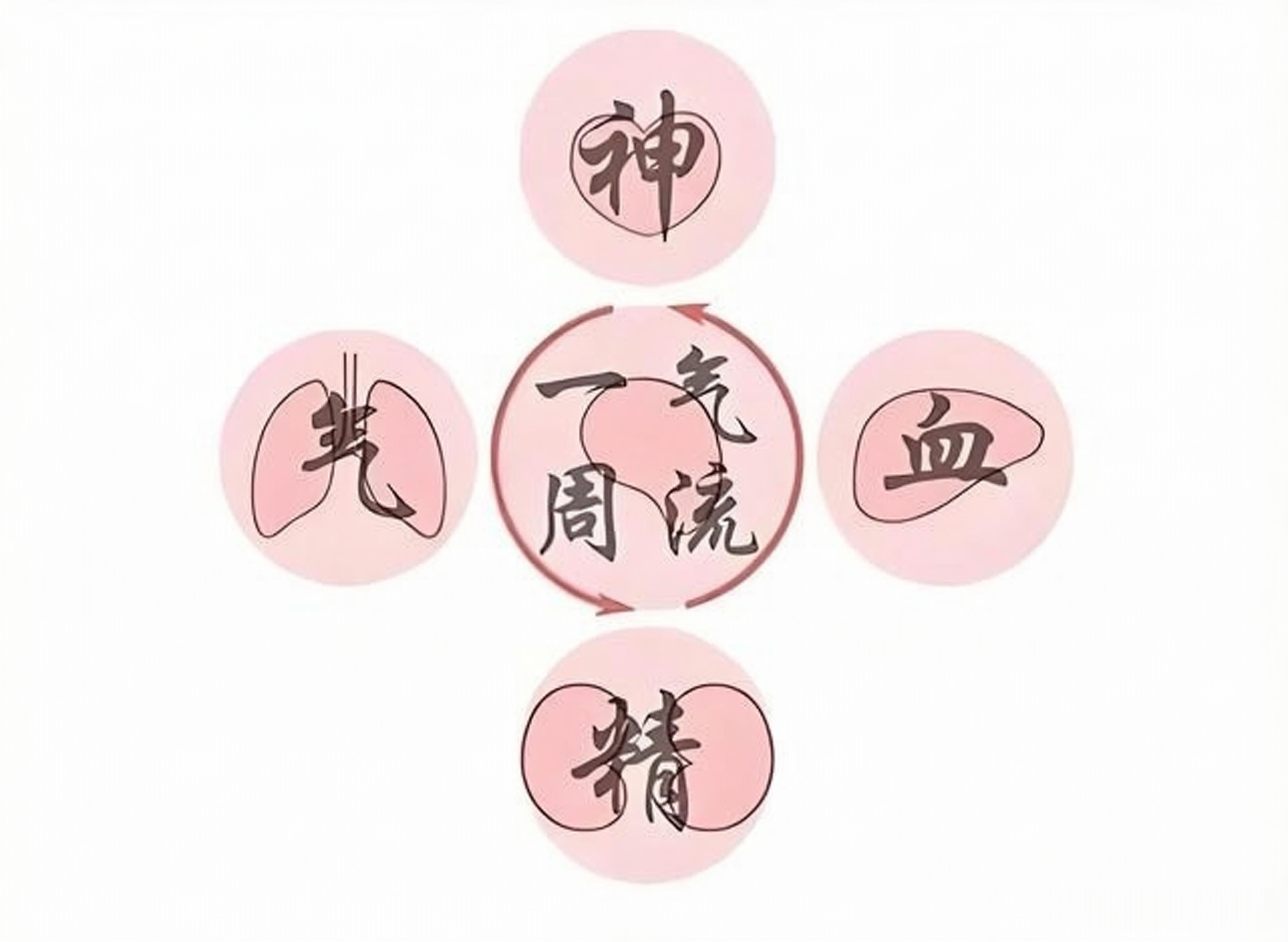 黄元御是清代著名医家，他的“一气周流”理论是其学术思想的核心，深刻体现了中医“整