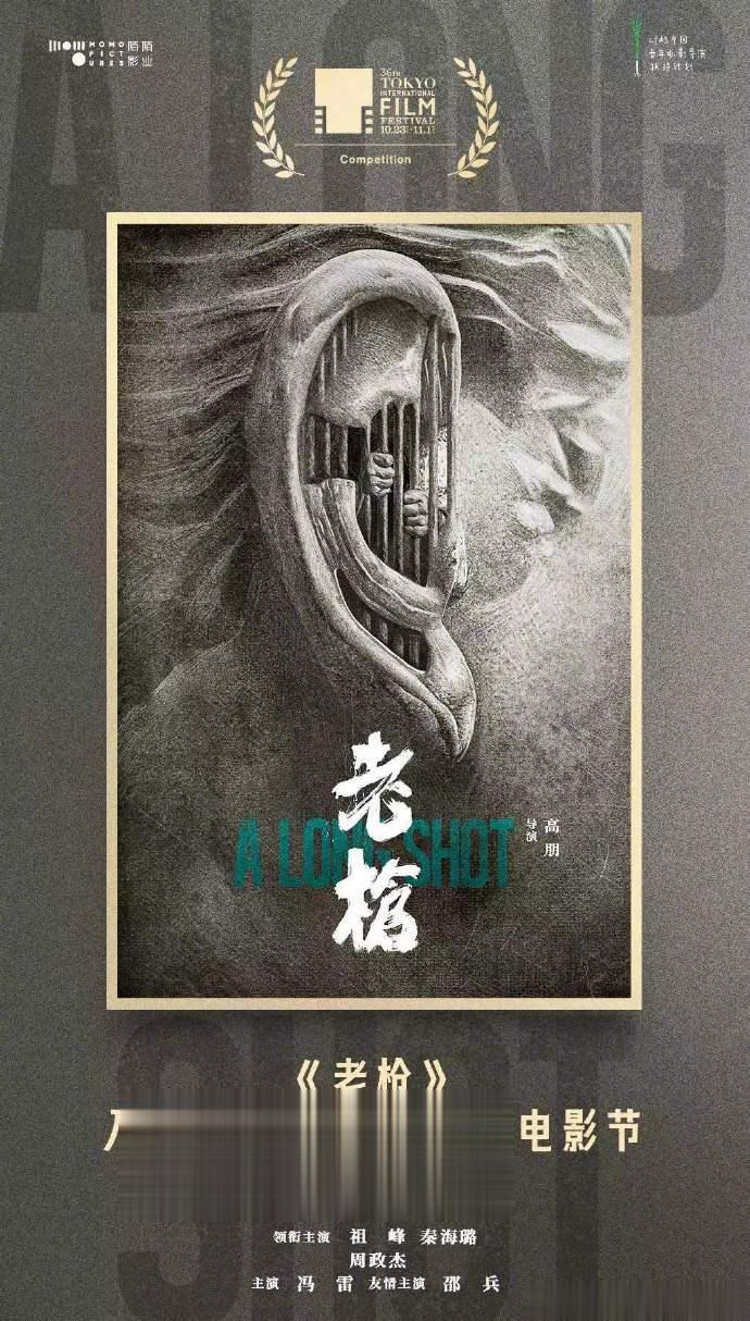 由高朋导演，祖峰、秦海璐、周政杰领衔主演，冯雷主演，邵兵友情主演的电影《老枪》入