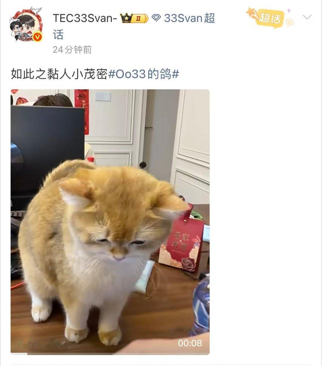 33的猫缘太好了33哥哥是不是经常投喂呆呀 和平精英职业联赛