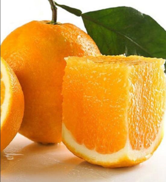 奋进江城共筑新篇