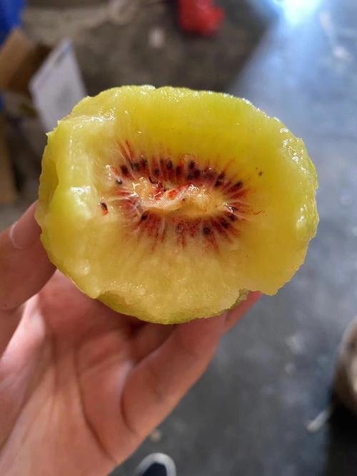 期待四川限定浪漫苍溪红心猕猴桃猕猴桃四川 🥝苍溪红心猕猴桃｜很多人说为啥比普通
