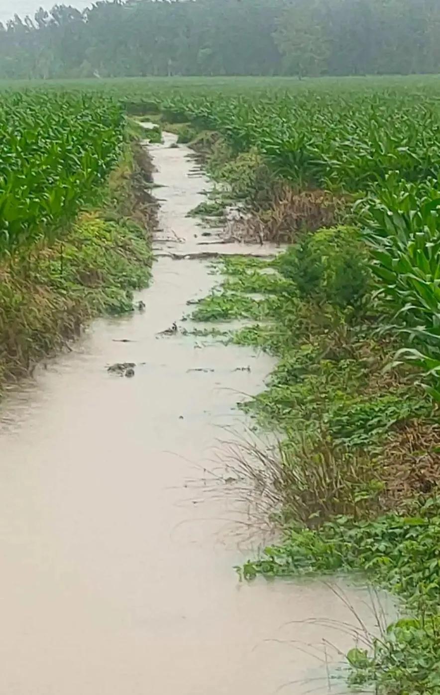 △新秋洗热咏△
🌧🌸🍎☔️🍃🍒
近来天气还炎热，
急需爱雨尽情泼。
庆
