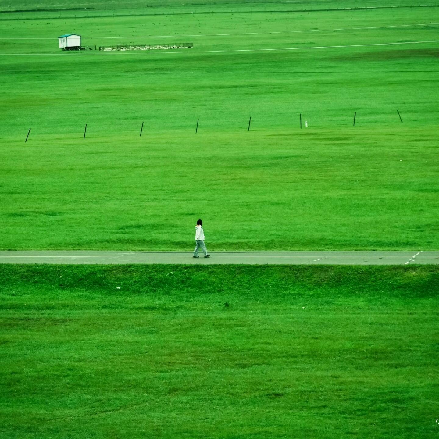 富有生命力的绿色系背景图｜“慢慢走，沿途有风景，背后有光” 