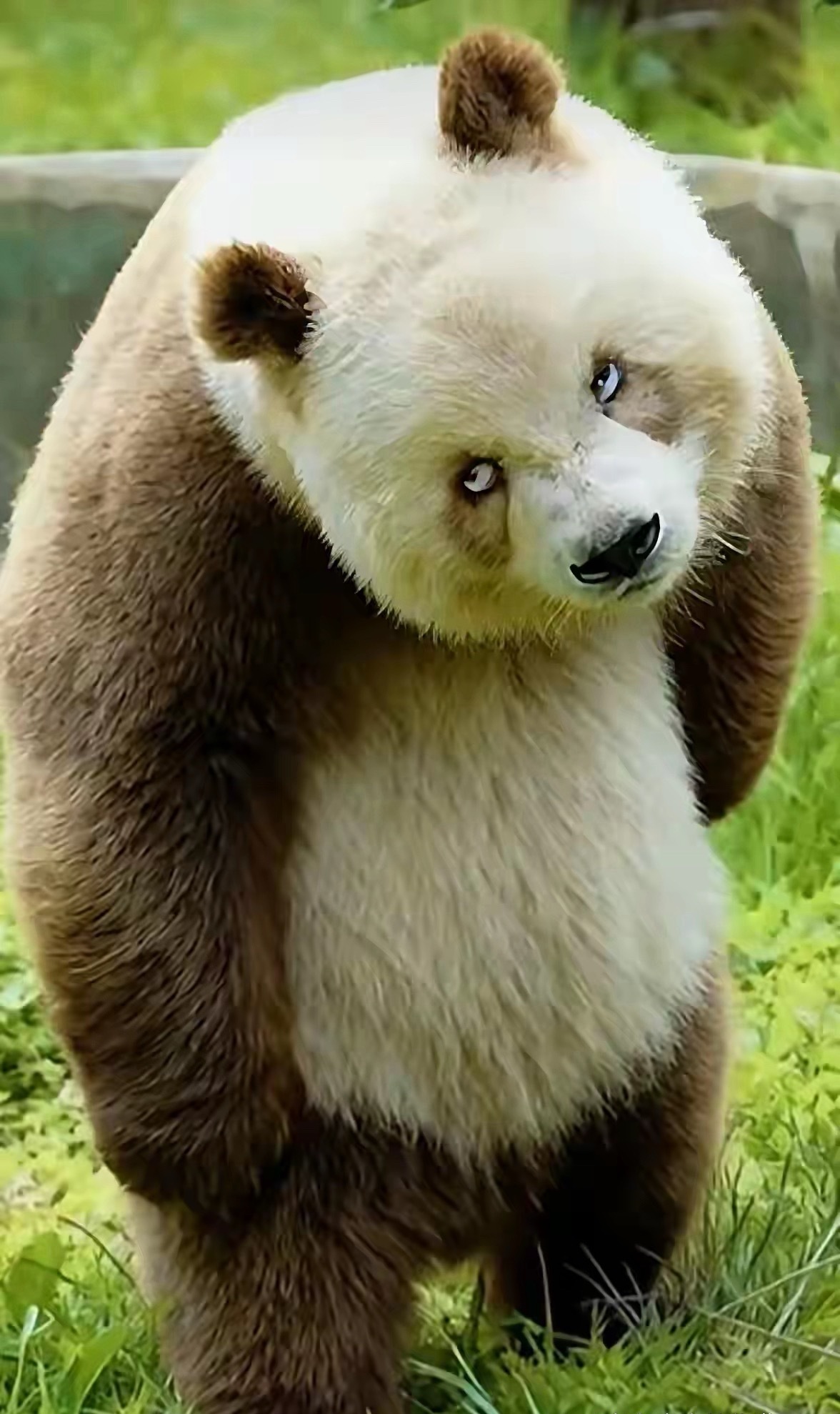 不过很多人二百五似的听不进建议的，非要被干几次就老实了，教训这东西还是自己吃了才