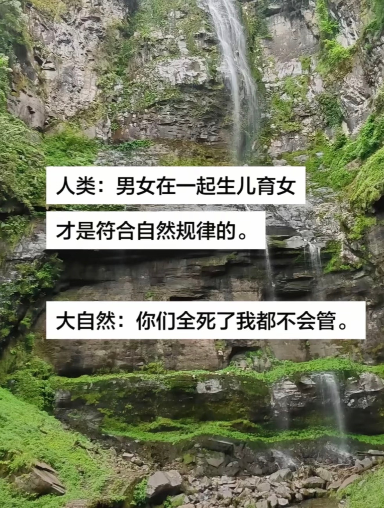 被这张图笑了个半死 