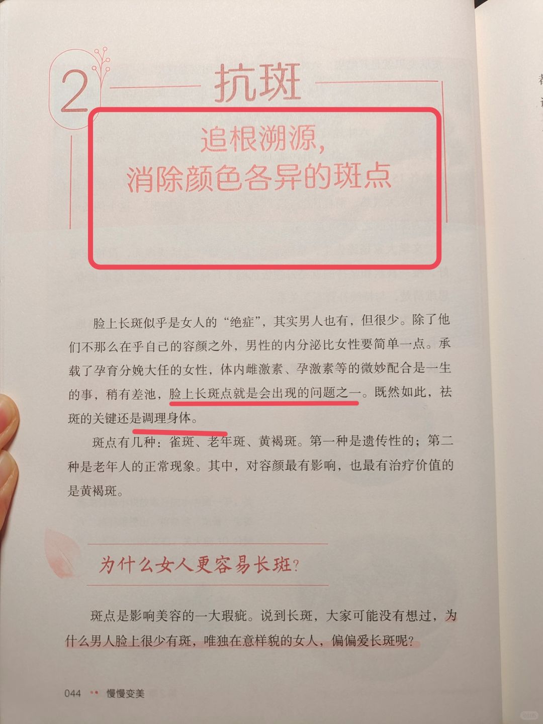 养脸的智慧——一天比一天干净🔥