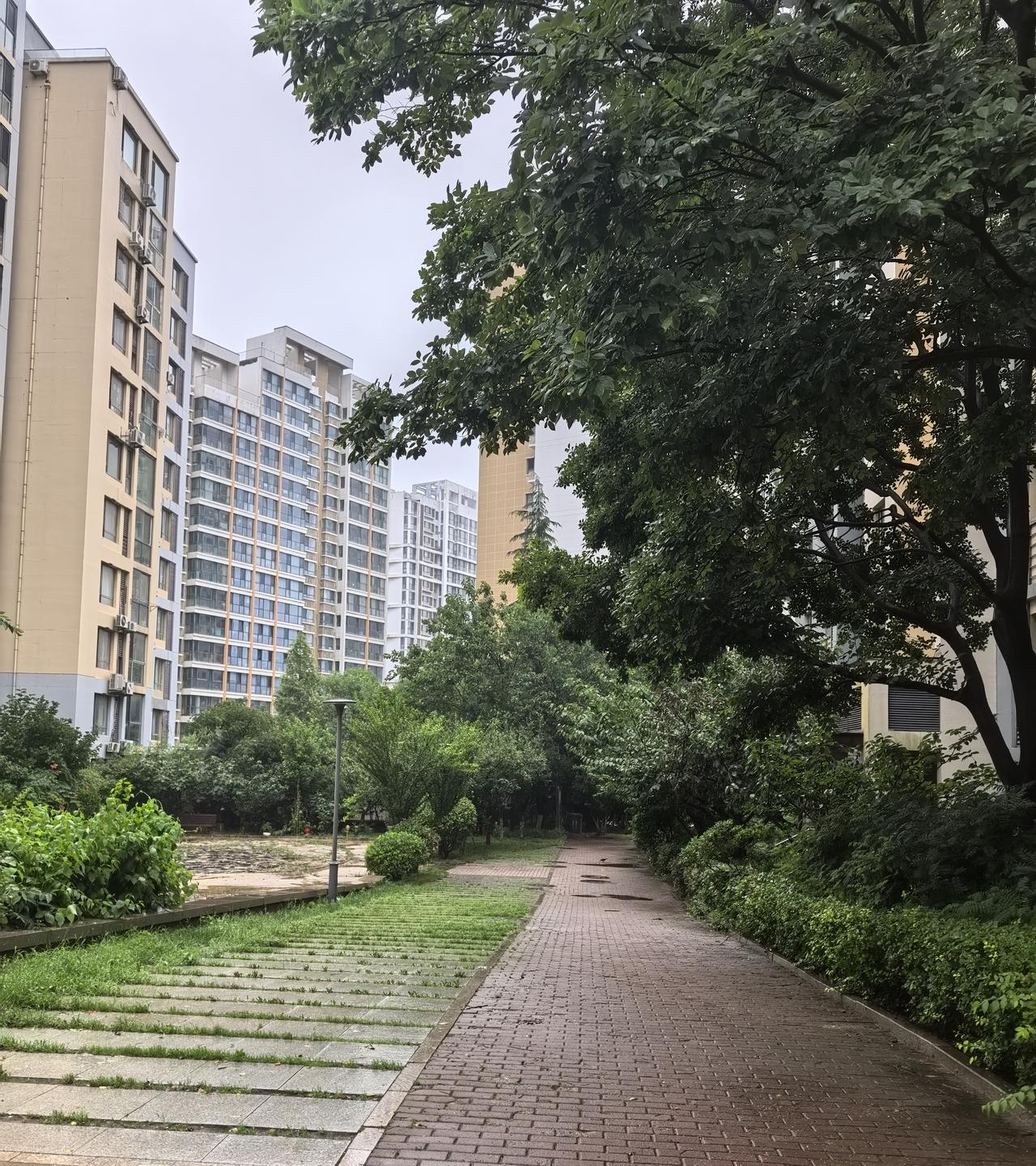 台风“巴威”：回首向来萧瑟处，归去，也无风雨也无晴。

台风“巴威”像扭秧歌，扭