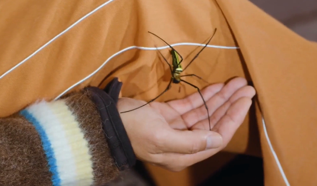邓超脸上长蜘蛛了 邓超：Superman下线，Spider-Man直接上线！这节