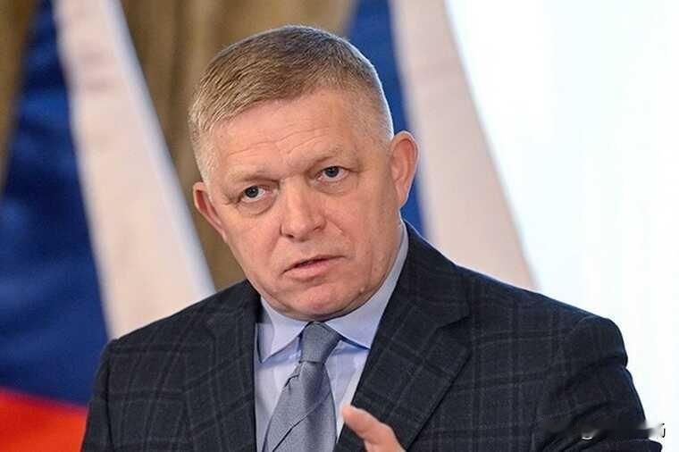 “如果‘友谊’管道输油中断，斯洛伐克可能停止向基辅供电”——菲佐
      斯