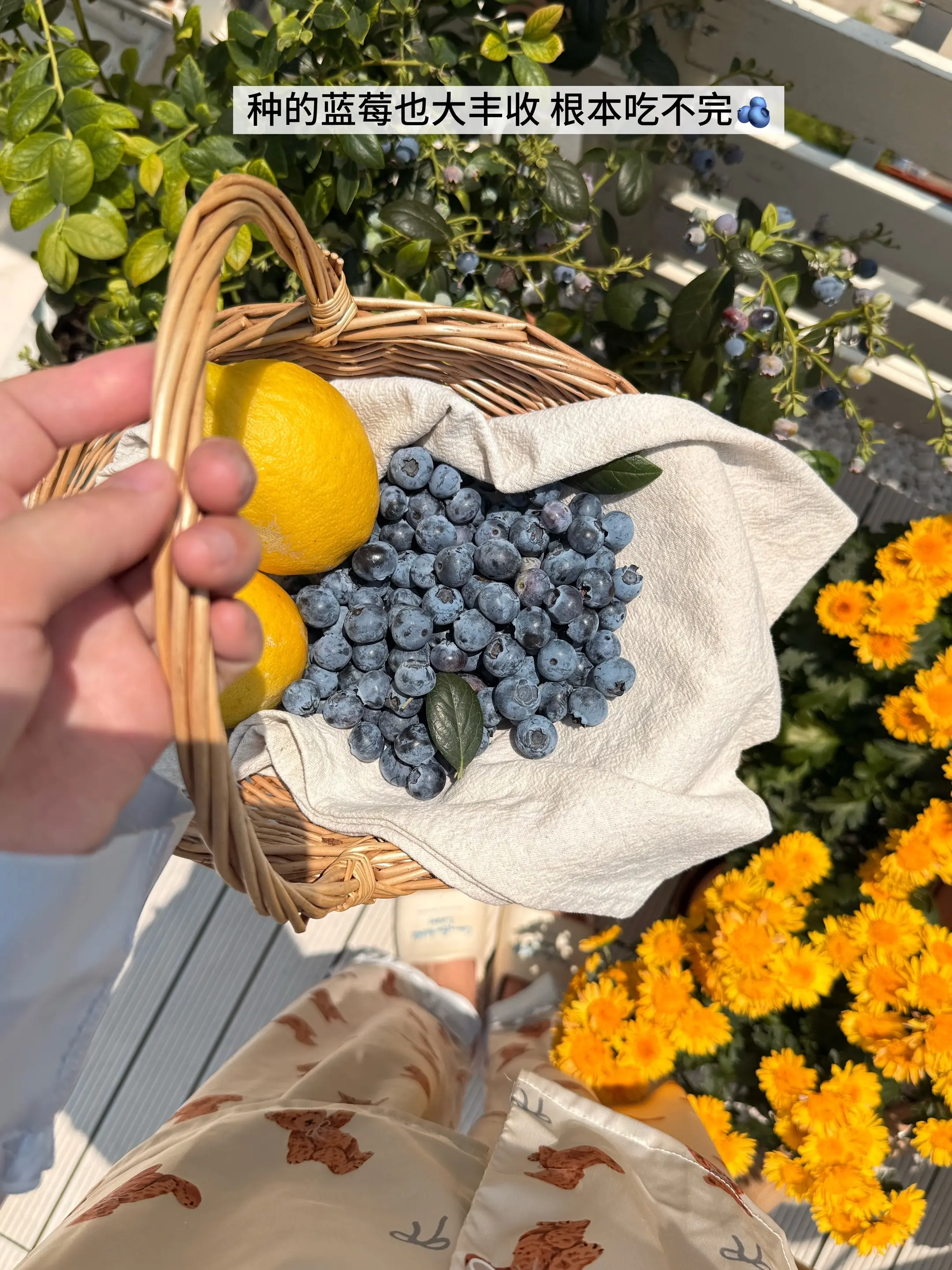 请把自己的小日子过得有声有色。