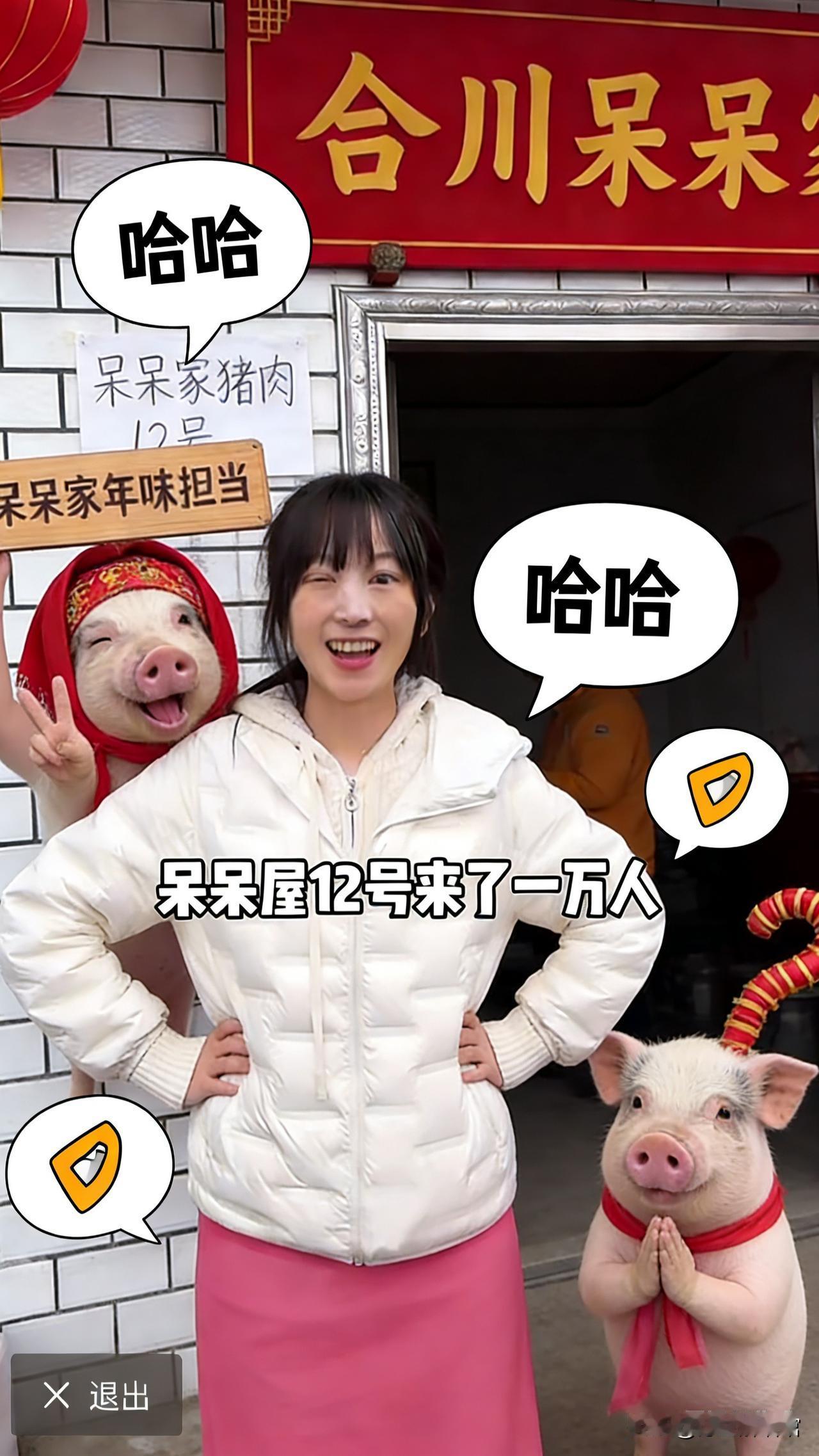 🤣🐷🐷合川呆呆家年味火遍全网，竟是两头猪的功劳，超浓中国年味拉满
谁能想到