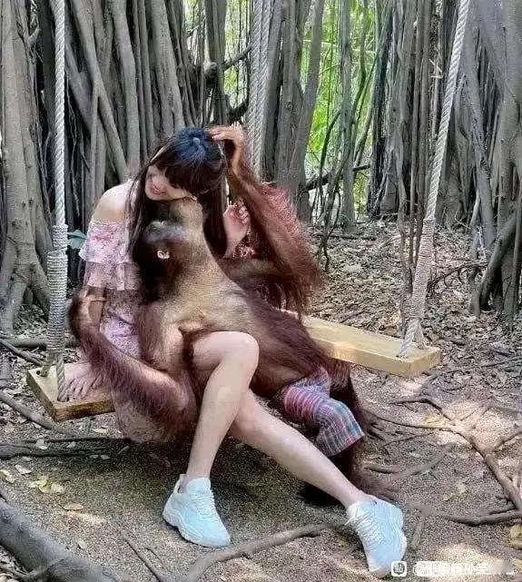 一个个腆着脸送去给这玩意占便宜，想不通！