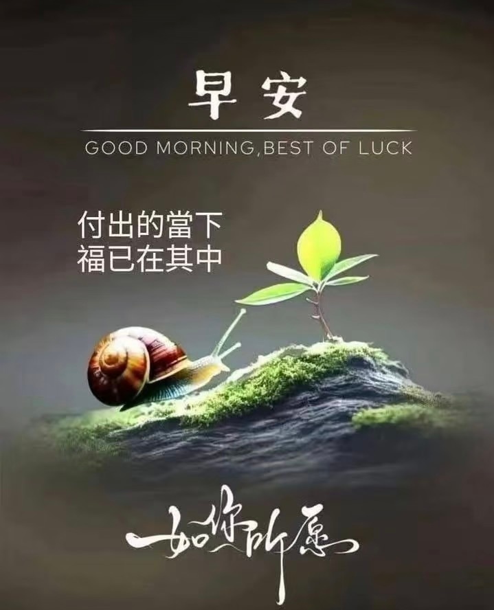 早安呀！如你所愿付出的当下，福已在其中。以清净之心，渡烟火日常。世界杯差不多一半