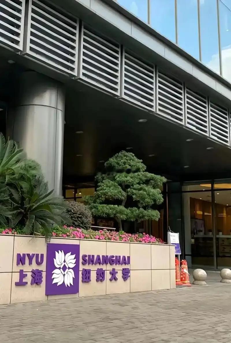 国内学费最贵的大学1.上海纽约大学 ：86万元/4年。2.昆山杜克大学 ：68万