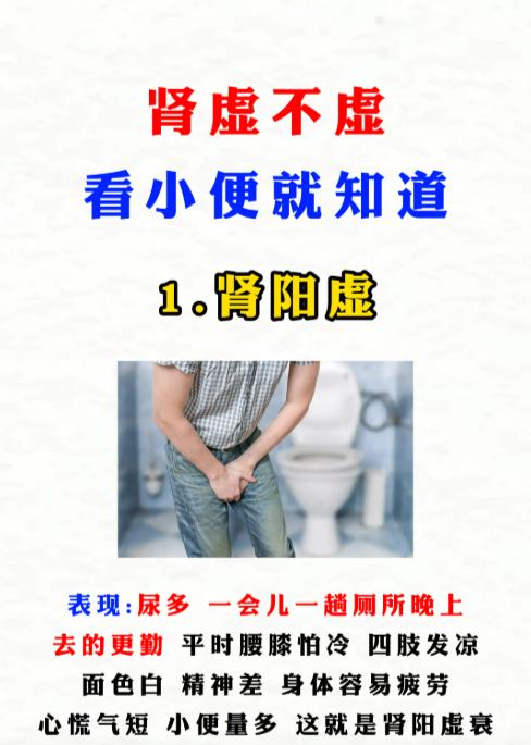 别忽视！尿液出现这些状态，可能是肾脏功能发出的信号