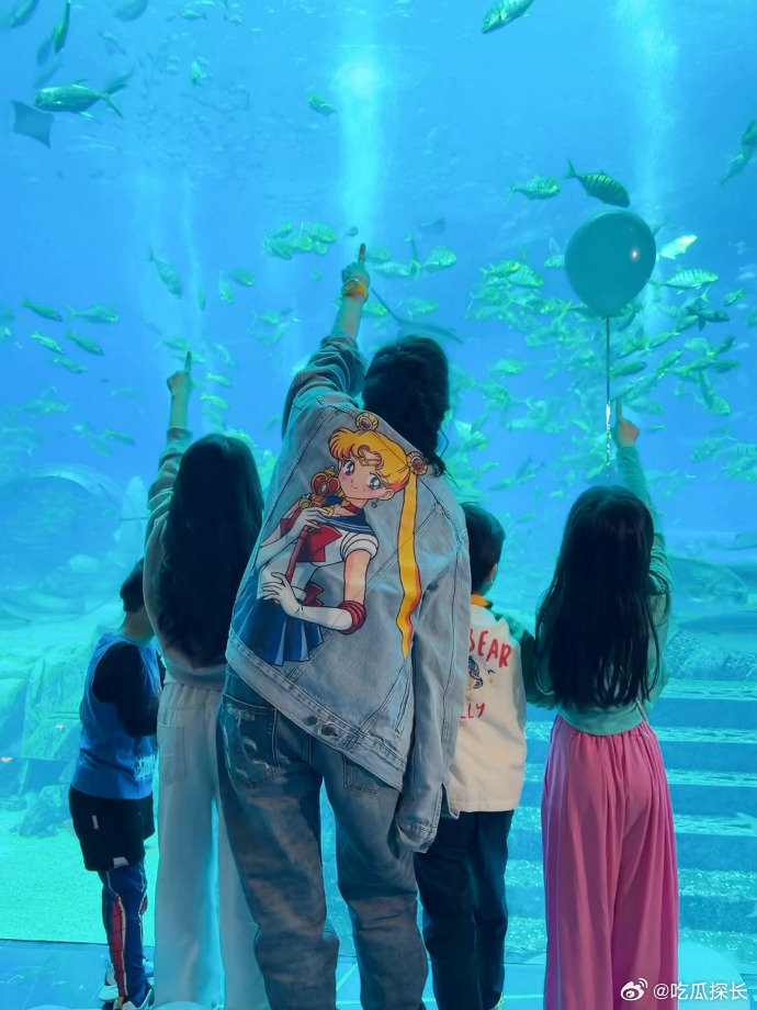 张柏芝和小朋友一起看白鲸好治愈 一群小脑袋加上她一个大脑袋，齐刷刷贴着玻璃等白鲸