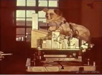 中国航天史上的今天【1966年7月28日中国成功完成较早的动物太空飞行与回收试验