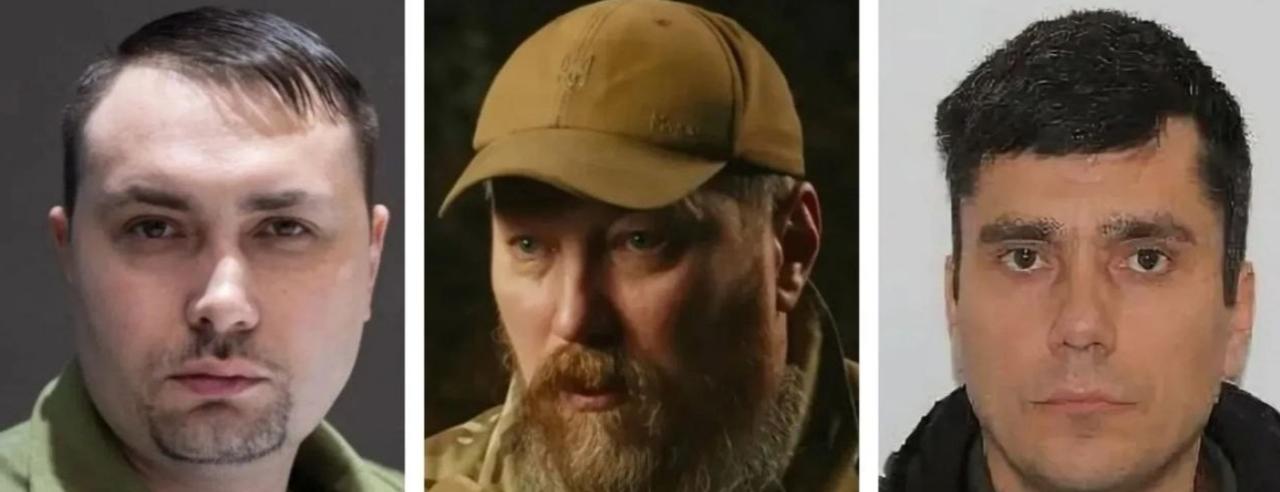 俄调查委员会：布达诺夫和布罗夫迪与赫尔松州霍尔利市遇袭事件有关！

2026 年