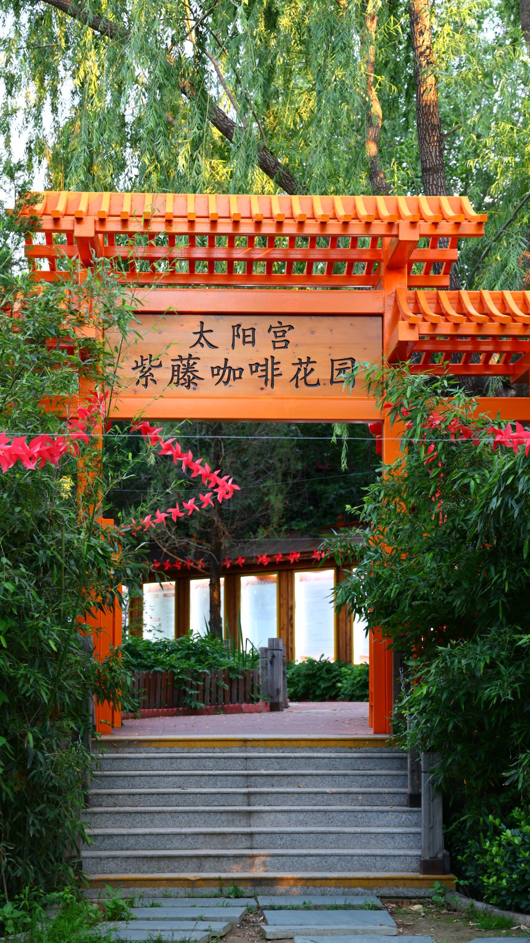 公园里喝杯咖啡☕️ 北京·太阳宫