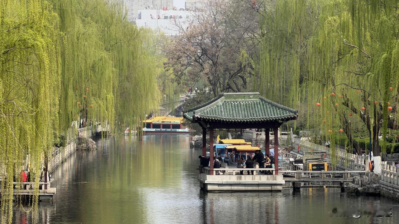 沿着济南的护城河慢慢走，河水就在脚边，清得不像话。我忍不住在心里拿它和别处的水比