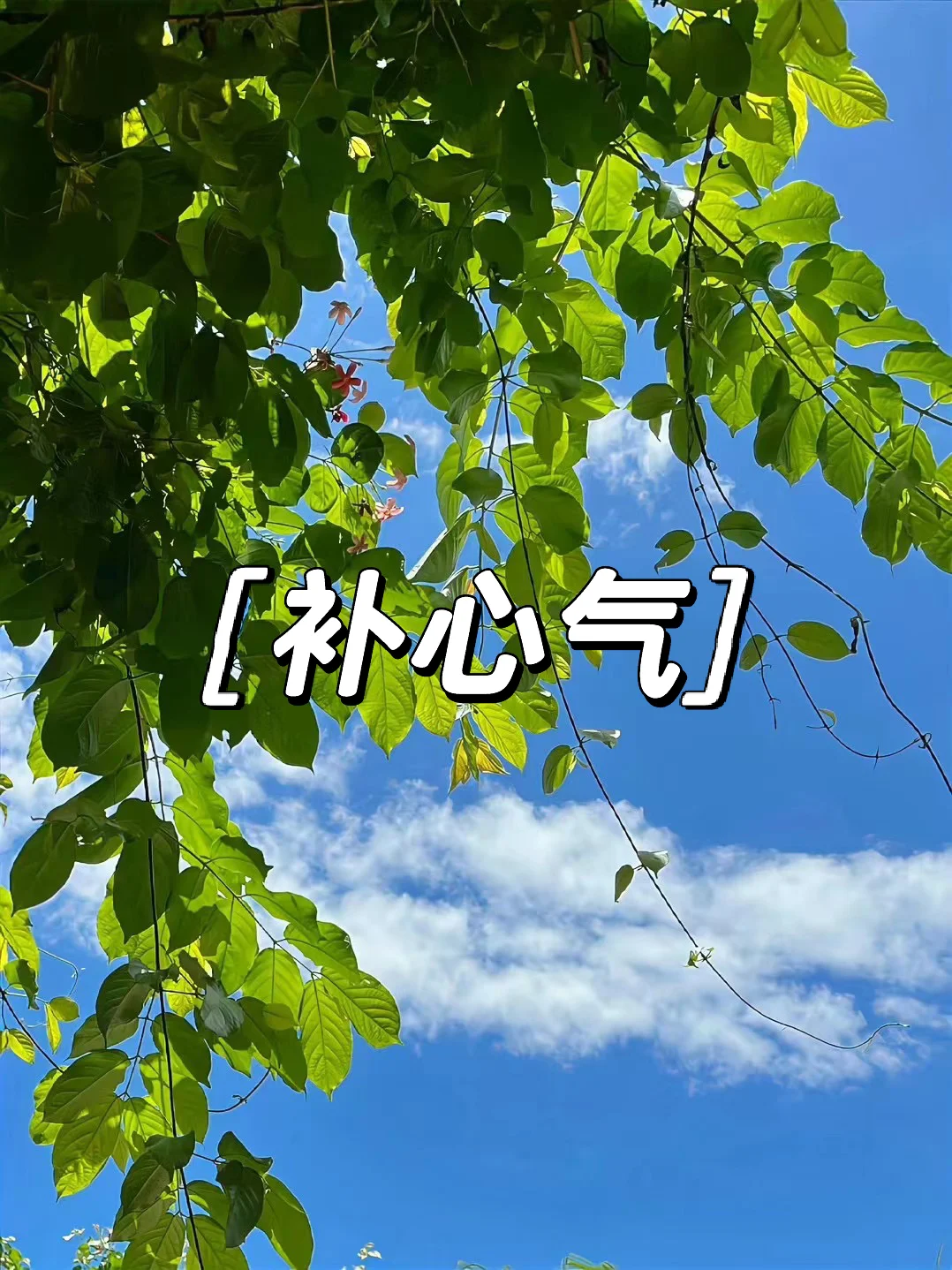 补心气＝修正价值观